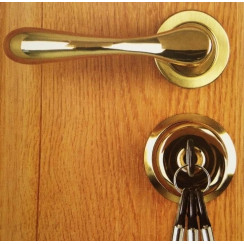 Дверь входная Gerda Star SX20 с ламинированными панелями