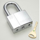 Замок навесной Abloy Sentry PL 350/25 Замок навесной Abloy Sentry PL 350/25