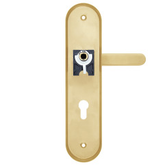 Защитная фурнитура Rostex R1 Solid-Pro (85мм) матовое золото