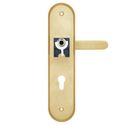 Защитная фурнитура Rostex R4 Solid-Pro (85мм) матовое золото