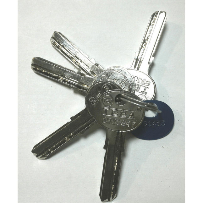 Замок врезной Tesa Dead Bolt R51666 LM матовая латунь Замок врезной Tesa Dead Bolt R51666 LM матовая латунь