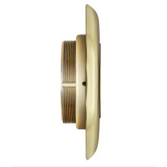 Броненакладка врезная Disec BD108 Monolito Omega латунь PVD Броненакладка врезная Disec BD108 Monolito Omega латунь PVD