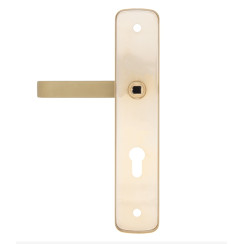 Защитная фурнитура Rostex R1 Astra (85мм) Ti/Sat сатинированное золото