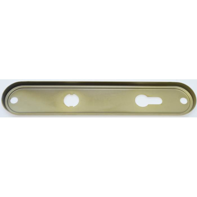 Защитная фурнитура Rostex R1 Decor (85мм) Ti/Sat титан сатин Защитная фурнитура Rostex R1 Decor (85мм) Ti/Sat титан сатин