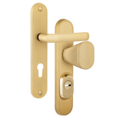 Защитная фурнитура Rostex R1 Decor (90мм) Ti/Sat титан сатин