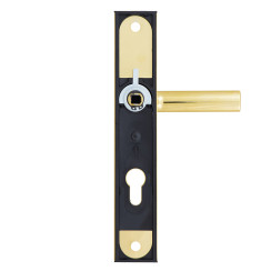 Защитная фурнитура Rostex R1 (72мм) Ti титан (золото)