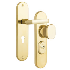 Защитная фурнитура Rostex R1 Universal (72мм) Ti титан (золото)