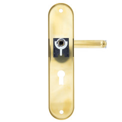 Защитная фурнитура Rostex R1 Universal (72мм) Ti титан (золото)