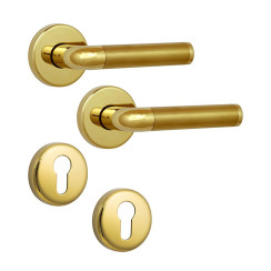 Ручка для дверей ROSTEX REAL SNH55 mov-mov PZ ROUND Титан_PVD 40-45мм універсальне Real TI Комплект