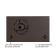 Дотягувач накладний RYOBI 1000 B1000V DARK_BRONZE BC/DA STD_ARM EN_2/3/4/5 до_120кг 2400мм
