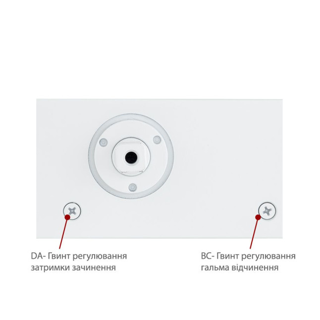 Дотягувач накладний RYOBI 1000 B1000V WHITE BC/DA STD_ARM EN_2/3/4/5 до_120кг 2400мм