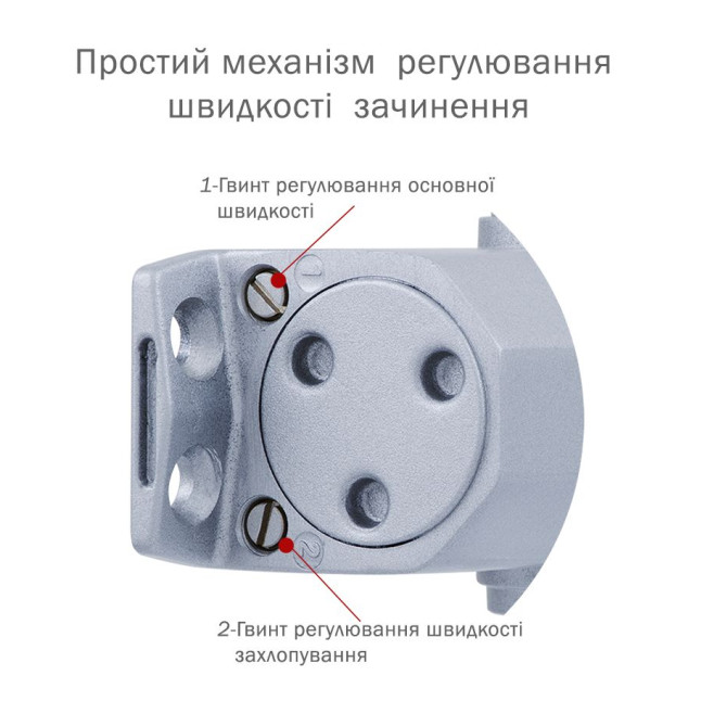 Дотягувач накладний RYOBI 2000 DS-2055V SILVER BC STD_HO_ARM EN_3/4/5 до_100кг 1250мм