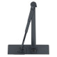 Доводчик накладной RYOBI * 1500 DS-1554 GREY ANTHRACITE STD HO ARM EN 2 / 3/4 до 80кг 1100мм Доводчик накладной RYOBI * 1500 DS-1554 GREY ANTHRACITE STD HO ARM EN 2 / 3/4 до 80кг 1100мм