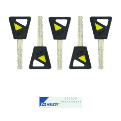 Комплект ключей Abloy DISCLOCK Pro 5KEY+CARD  Комплект ключей Abloy DISCLOCK Pro 5KEY+CARD