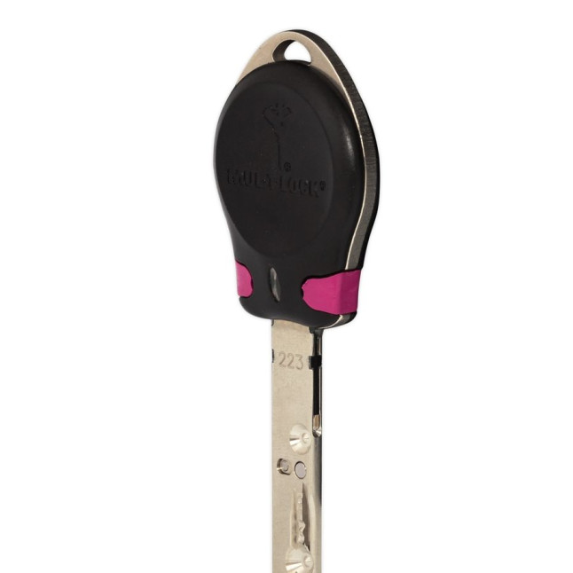 Ключ MUL-T-LOCK *INTERACTIVE+ 1KEY CLIQ