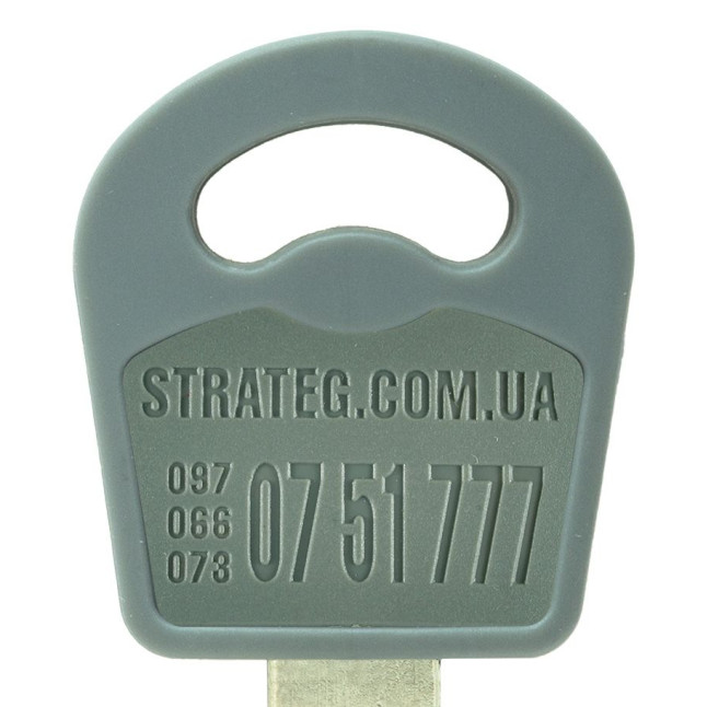 Вставка-лого_кольорова MUL-T-LOCK STRATEG GREY (1000шт.) Вставка-лого_кольорова MUL-T-LOCK STRATEG GREY (1000шт.)