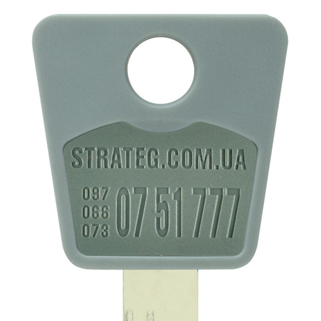 Вставка-лого_кольорова MUL-T-LOCK STRATEG GREY (1000шт.) Вставка-лого_кольорова MUL-T-LOCK STRATEG GREY (1000шт.)