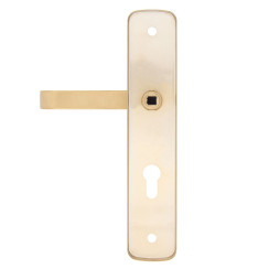 Фурнитура защитная ROSTEX *ASTRA R fix-mov DIN PLATE 85мм нерж.сталь мат титан PVD 22мм 38-55мм 3клас Astra NEREZ MAT TI комплект