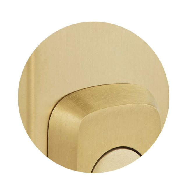 Фурнітура захисна ROSTEX *ASTRA R fix-mov DIN PLATE 85мм Нерж.сталь_мат_титан_PVD 22мм 38-55мм 3клас Astra NEREZ_MAT_TI Комплект