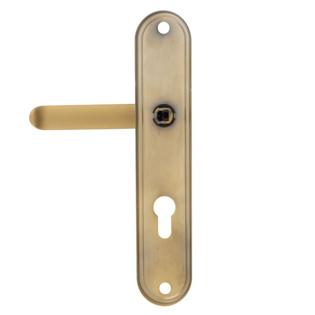 Фурнитура защитная ROSTEX DECOR R fix-mov DIN PLATE 85мм титан PVD сатин 23мм 40-45мм 4клас Ovalne/Baryt TI SAT комплект