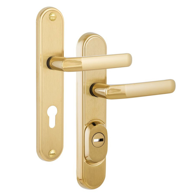 Фурнитура защитная Rostex DECOR R mov-mov DIN Plate 90мм титан PVD мат 23мм 38-45мм 4клас Baryt TI MAT комплект