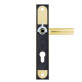 Фурнитура защитная Rostex R1/R4 R fix-mov DIN Plate 72мм титан PVD 22мм 38-55мм 3клас Hranate/804 TI комплект