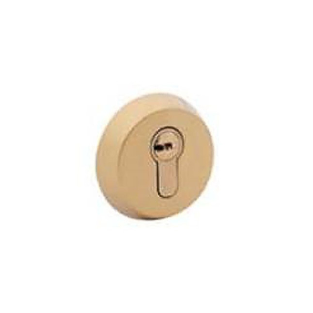 Замок врезной TESA 1-WAY DIN R100B5S CE BRIGHT BRASS ВЅ50мм 85мм w/o SP с протектором E300L Замок врезной TESA 1-WAY DIN R100B5S CE BRIGHT BRASS ВЅ50мм 85мм w/o SP с протектором E300L