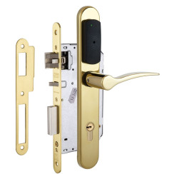 Замок TESA SPY ARKO MIFARE READ латунь полірована P+V 2UB0 BS60мм 20 мм Rounded P: Laton Pulido UNIV STD Замок TESA SPY ARKO MIFARE READ латунь полірована P+V 2UB0 BS60мм 20 мм Rounded P: Laton Pulido UNIV STD