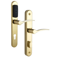 Замок TESA SPY ARKO MIFARE READ латунь полірована P+V 2UB0 BS60мм 20 мм Rounded P: Laton Pulido UNIV STD Замок TESA SPY ARKO MIFARE READ латунь полірована P+V 2UB0 BS60мм 20 мм Rounded P: Laton Pulido UNIV STD