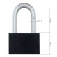 Замок навісний MUL-T-LOCK M13/C2 CLASSIC 064 2KEY ARC_BLACK R_shackle 58мм 12,7мм BOX_M