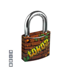 Замок навесной Tokoz GRAFFITI 40 3KEY TK1 M R shackle 22мм 6,2 мм 
