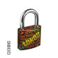 Замок навісний TOKOZ GRAFFITI_40 3KEY TK1_M R_shackle 22мм 6,2мм