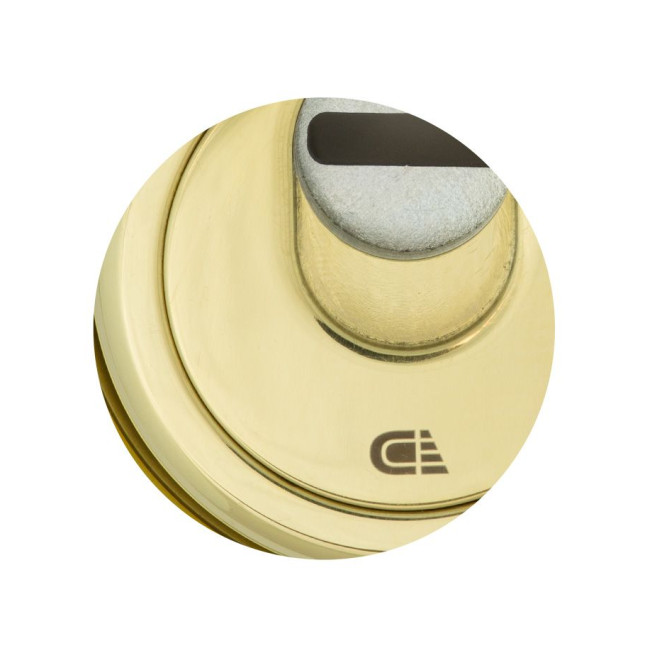 Протектор DISEC *MAGNETIC 3G2FM DIN Oval 25мм латунь PVD 3клас 2 внешний, O/K