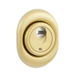 Протектор DISEC *MAGNETIC 3G2FM DIN Oval 25мм латунь мат 3клас TT внешний, O/K Протектор DISEC *MAGNETIC 3G2FM DIN Oval 25мм латунь мат 3клас TT внешний, O/K
