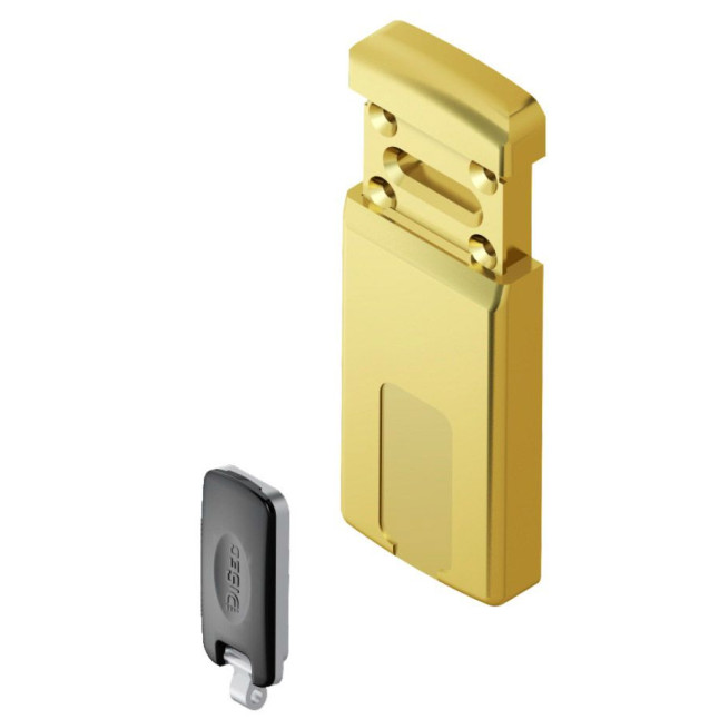 Протектор DISEC *MAGNETIC MG220MINI LEVER KEY Oval 12мм латунь PVD 3клас 2 внешний, 3 магн ключа