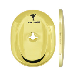 Щиток MUL-T-LOCK A703 OMEGA OVAL Латунь_PVD BRIGHT_BRASS_PVD Без шторки Щиток MUL-T-LOCK A703 OMEGA OVAL Латунь_PVD BRIGHT_BRASS_PVD Без шторки