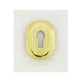 Щиток Mul-t-lock A618 DIN Oval 40-50мм латунь PVD BRIGHT BRASS PVD без шторки Щиток Mul-t-lock A618 DIN Oval 40-50мм латунь PVD BRIGHT BRASS PVD без шторки