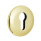 Щиток Mul-t-lock A733 DIN ROUND латунь PVD BRIGHT BRASS PVD без шторки Щиток Mul-t-lock A733 DIN ROUND латунь PVD BRIGHT BRASS PVD без шторки